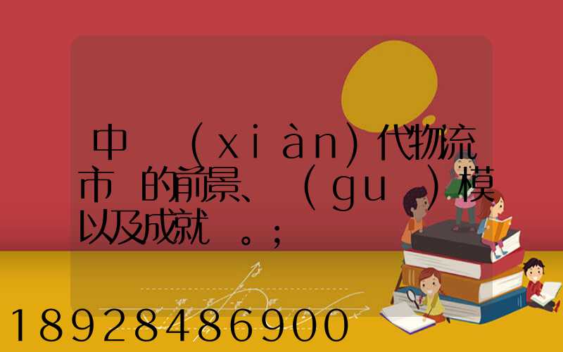 中國現(xiàn)代物流市場的前景、規(guī)模以及成就。